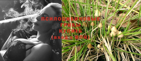 МДПВ Арсеньев