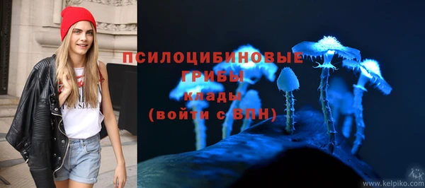 МДПВ Арсеньев