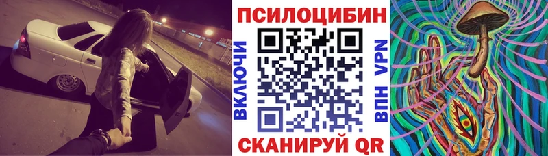 купить закладку  Ростов  Галлюциногенные грибы Cubensis 